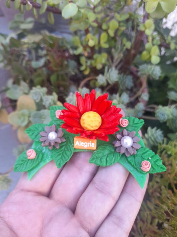 Tapa Erva Flortes da Aleguia
